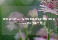 PUBG 选手收入，探寻电竞舞台背后的经济密码——pubg 职业选手工资
