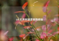 LOL无声时温柔悄然降临