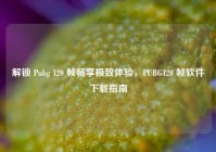 解锁 Pubg 120 帧畅享极致体验，PUBG120 帧软件下载指南