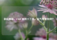 幸运降临，CSGO 抽到十三签，运气究竟如何？