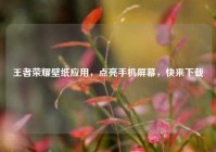 王者荣耀壁纸应用，点亮手机屏幕，快来下载