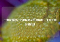 王者荣耀赵云上单攻略及出装解析，无畏先锋纵横战场