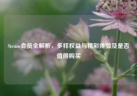 Steam会员全解析，多样权益与精彩体验及是否值得购买