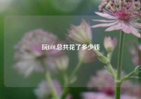 玩LOL总共花了多少钱