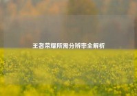 王者荣耀所需分辨率全解析