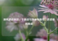 探究逆战原因，于挑战与突破中前行，逆战缘何而成