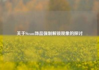 关于Steam饰品强制解锁现象的探讨