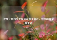 逆战元帅名字大盘点及相关图片，共赏巅峰荣耀之名