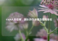 CSGO人类指挥，团队协作灵魂及指挥排名