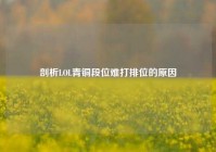 剖析LOL青铜段位难打排位的原因