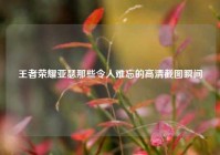 王者荣耀亚瑟那些令人难忘的高清截图瞬间