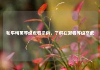 和平精英等级查看指南，了解在哪看等级高低