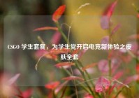 CSGO 学生套餐，为学生党开启电竞新体验之皮肤全套