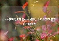 Linux系统完全卸载Steam指南，从软件到残留文件一键清理