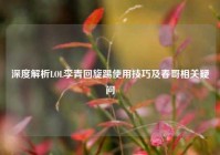 深度解析LOL李青回旋踢使用技巧及春哥相关疑问