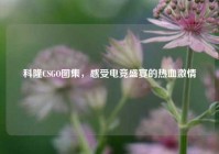 科隆CSGO图集，感受电竞盛宴的热血激情