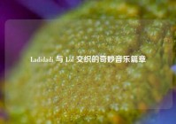 Ladidadi 与 Lol 交织的奇妙音乐篇章