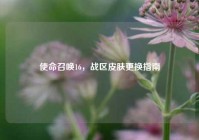 使命召唤16，战区皮肤更换指南