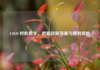 CSGO 时机教学，把握战局节奏与胜利契机