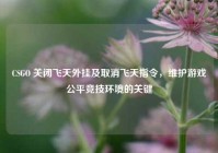 CSGO 关闭飞天外挂及取消飞天指令，维护游戏公平竞技环境的关键