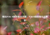 畅玩PUBG M国际服全攻略，PUBGM国际服玩法解析