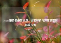 Steam服务器最新消息，全面解析与深度洞察其所在位置