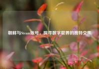 朝鲜与Steam账号，探寻数字世界的独特交集
