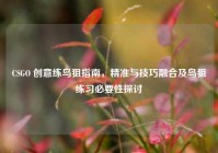 CSGO 创意练鸟狙指南，精准与技巧融合及鸟狙练习必要性探讨
