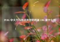 PUBG 中火力与挑战并存的利器 LMG 是什么枪