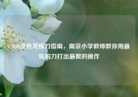 CSGO变色龙练刀指南，南京小学教师教你用最炫的刀打出最狠的操作