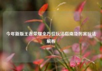 今年新版王者荣耀全方位玩法指南及厉害玩法解析