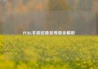 PUBG手游巡查员等级全解析