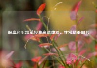 畅享和平精英经典高清体验，共赏精美图片