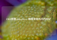 CSGO传奇olofmeister，辉煌岁月与不朽印记