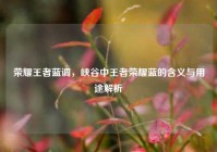 荣耀王者蓝调，峡谷中王者荣耀蓝的含义与用途解析