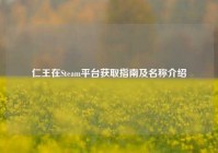 仁王在Steam平台获取指南及名称介绍