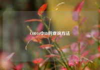 COD16中ID的查询方法