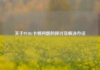 关于PUBG卡顿问题的探讨及解决办法