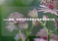 Steam商城，探索游戏世界数字宝库及价格几何