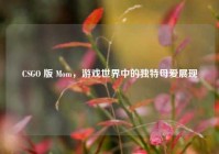 CSGO 版 Mom，游戏世界中的独特母爱展现