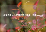 解决网吧 Pubg 页面进不去困扰，网吧pubwinol