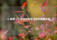 CF 胡萝卜匕首领取地址及奇妙触摸探索