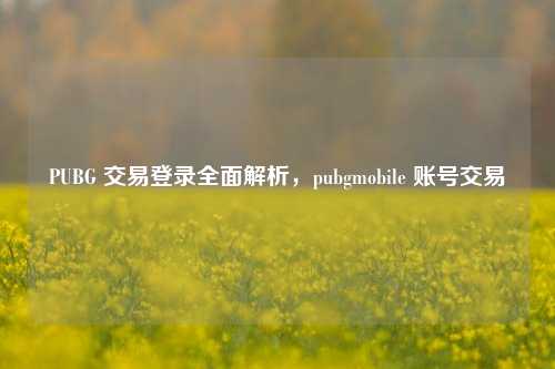 PUBG 交易登录全面解析，pubgmobile 账号交易