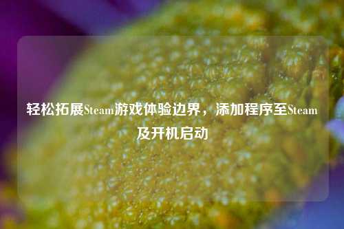 轻松拓展Steam游戏体验边界，添加程序至Steam及开机启动