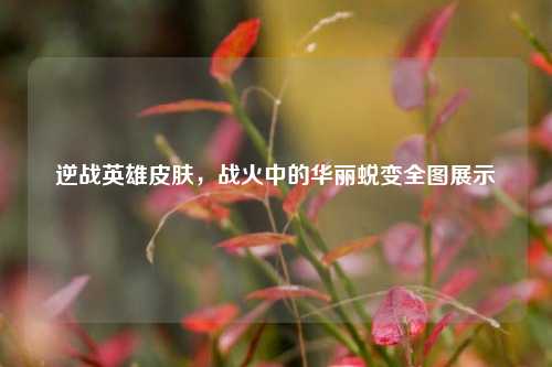 逆战英雄皮肤，战火中的华丽蜕变全图展示