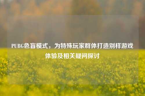 PUBG色盲模式，为特殊玩家群体打造别样游戏体验及相关疑问探讨