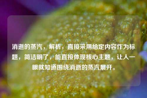 消逝的蒸汽，解析，直接采用给定内容作为标题，简洁明了，能直接体现核心主题，让人一眼就知道围绕消逝的蒸汽展开。