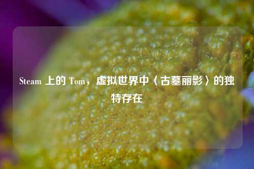 Steam 上的 Tom，虚拟世界中〈古墓丽影〉的独特存在
