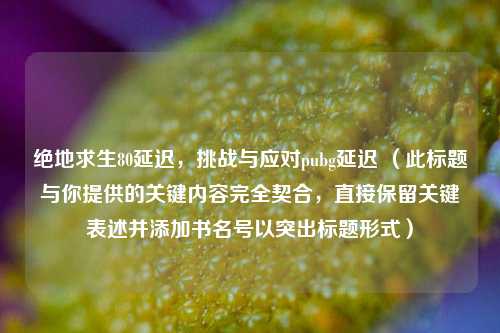 绝地求生80延迟，挑战与应对pubg延迟 （此标题与你提供的关键内容完全契合，直接保留关键表述并添加书名号以突出标题形式）