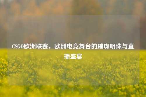 CSGO欧洲联赛，欧洲电竞舞台的璀璨明珠与直播盛宴